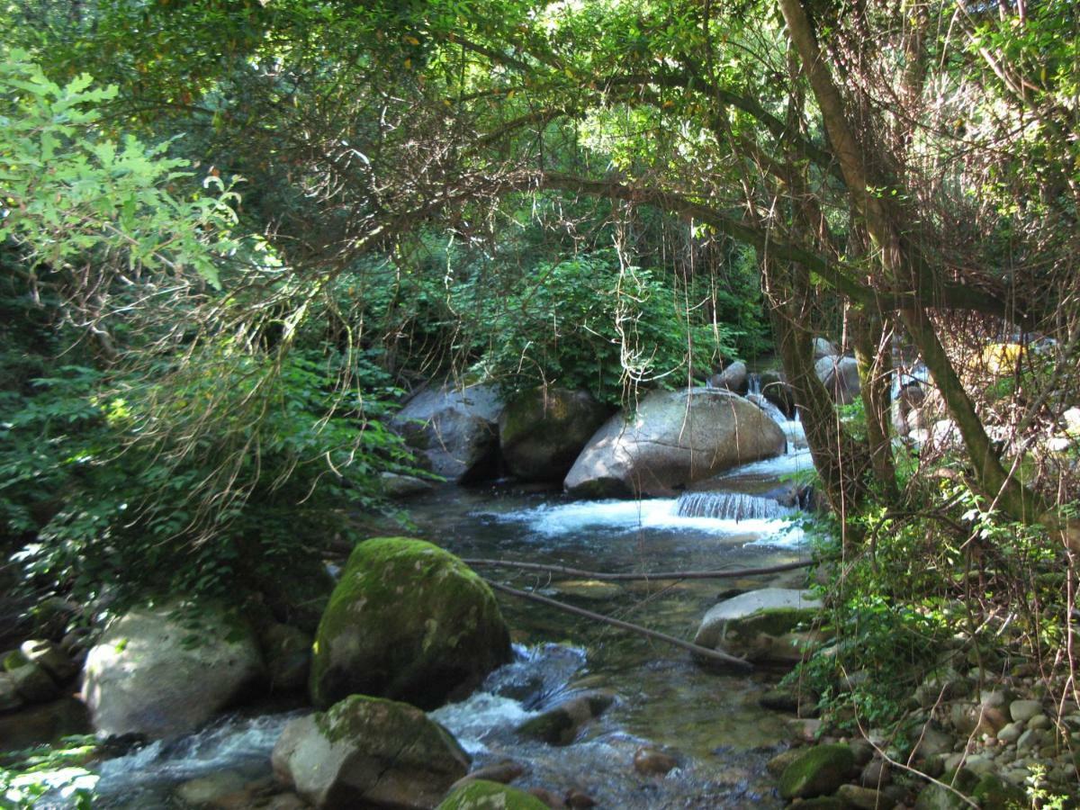 Campismo Rural Vale Dos Moinhos Geres Hotel Buitenkant foto